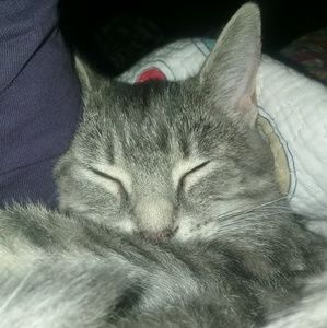 Meet your Posher, Leigh